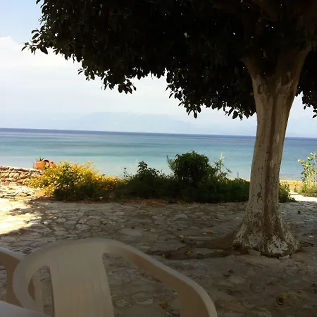 9 Muses Daire Chranoi